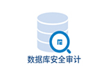 数据库,审计,系统,DAS